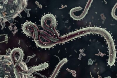 Ebola kembali meningkat, kita perlu waspada