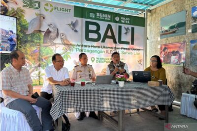 Warga Bali mulai serahkan Monyet Ekor Panjang ke BKSDA pascapelarangan