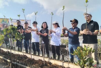 Kemenkeu petakan potensi perdagangan karbon di Bali Rp1,7 triliun