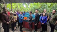 Perkuat Ketahanan Pangan, DPKP Kota Denpasar Serahkan Sarana Prasarana Budidaya Ikan untuk Pokdakan