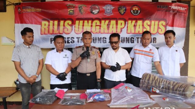 Polres Tanjab Timur tangkap seorang pelaku perdagangan kulit harimau