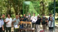 Tim gabungan di Bali gagalkan penyelundupan burung tanpa dokumen
