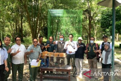 Tim gabungan di Bali gagalkan penyelundupan burung tanpa dokumen
