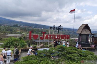 Desa Jatiluwih Bali garap aktivitas wisata dorong ekonomi warga