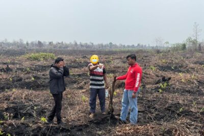 Polres Bengkalis tetapkan tersangka kebun sawit di kawasan hutan