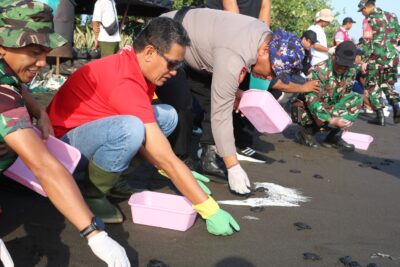 Wabup Supriatna Ajak Masyarakat Lestarikan Lingkungan, 200 Tukik Dilepasliarkan di Pantai Banjar