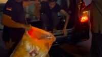 WhatsApp Image 2026-07-31 at 16.10.43 Satpol PP Denpasar Gelar Sabergep, Tertibkan Pedagang Asongan di Sejumlah Traffic Light