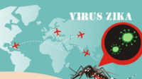 Zika