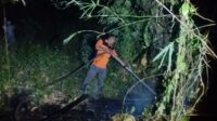 Kelalaian Warga Bakar Sampah Picu Kebakaran Lahan 50 Are di Buleleng, BPBD Minta Masyarakat Waspada