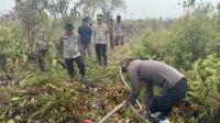 477390 Polda Jambi gunakan cairan x-fire penanganan karhutla di Berbak