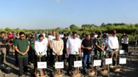 Aksi Penanaman 3.000 Mangrove di Arboretum Park Pedungan
