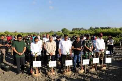 Aksi Penanaman 3.000 Mangrove di Arboretum Park Pedungan
