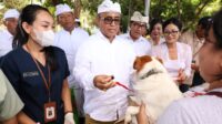 Wali Kota Jaya Negara Ngaturang Bhakti Pitenget Tumpek Uye