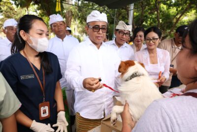 Wali Kota Jaya Negara Ngaturang Bhakti Pitenget Tumpek Uye