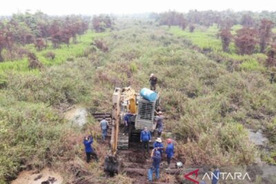 Tim padam karhutla ungkap perambahan ilegal di Ketapang
