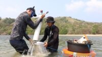 Merawat Lucipara, menjaga laut dan kehidupan masyarakat