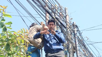 Jaga Estetika Kota, Kabel Fiber Optik Semrawut di Singaraja Ditertibkan