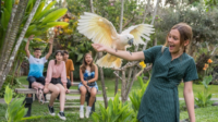 Bali Bird Park