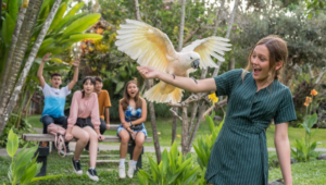 Bali Bird Park