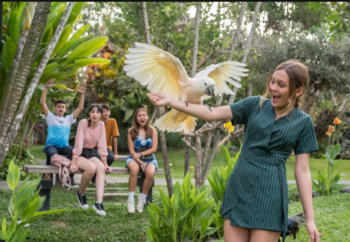 Bali Bird Park