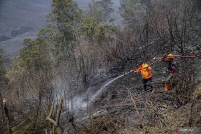 BPBD sebut kabut asap Karhutla belum sampai Bali